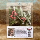 Product packaging with a horse illustration and text on a wooden surface