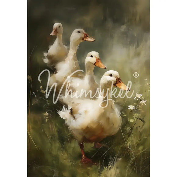 Full 21x29 Whimsykel Ducks in a Row tissue decoupage paper sheet with painterly white ducks in a green meadow