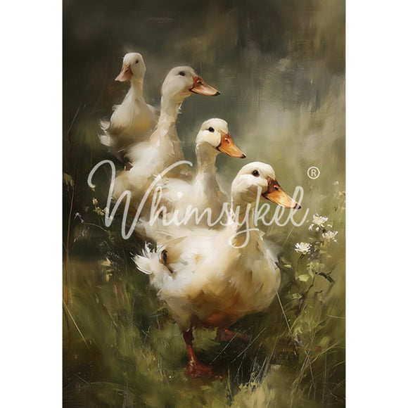 Full 21x29 Whimsykel Ducks in a Row tissue decoupage paper sheet with painterly white ducks in a green meadow