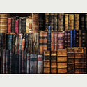 Vintage colored Dusty Library A2 rice paper design. White borders on the top and bottom