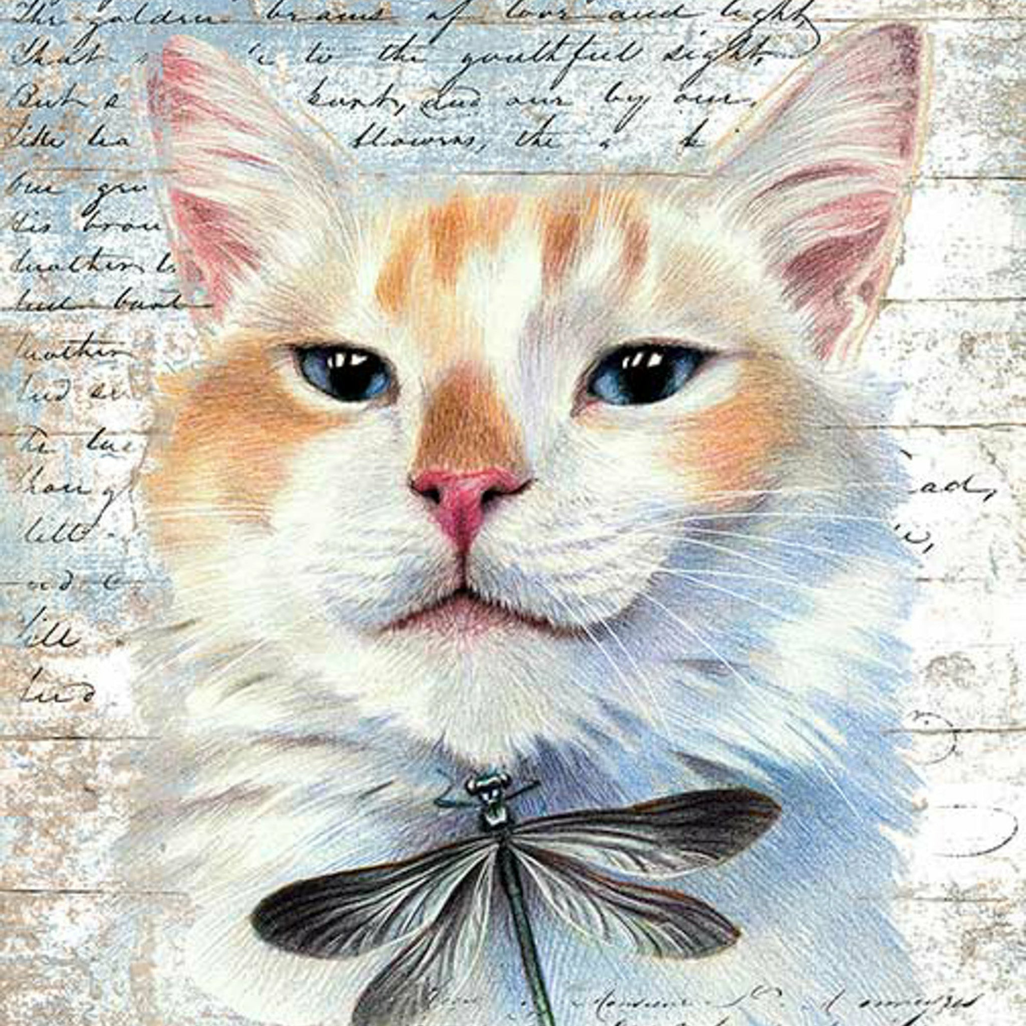 A colorful cat and dragonfly on a cursive text background rice paper designs.