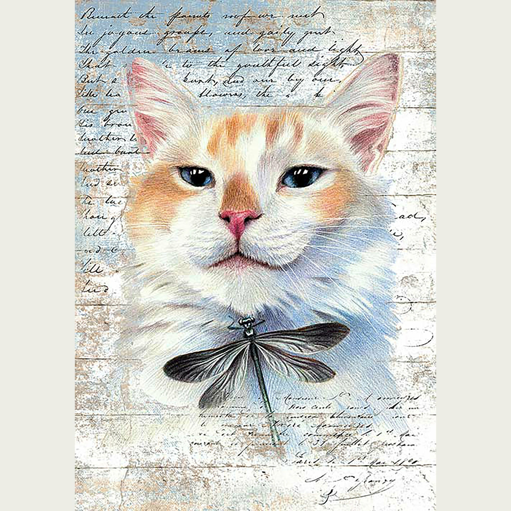 A colorful cat and dragonfly on a cursive text background rice paper designs. Off white borders on the sides.