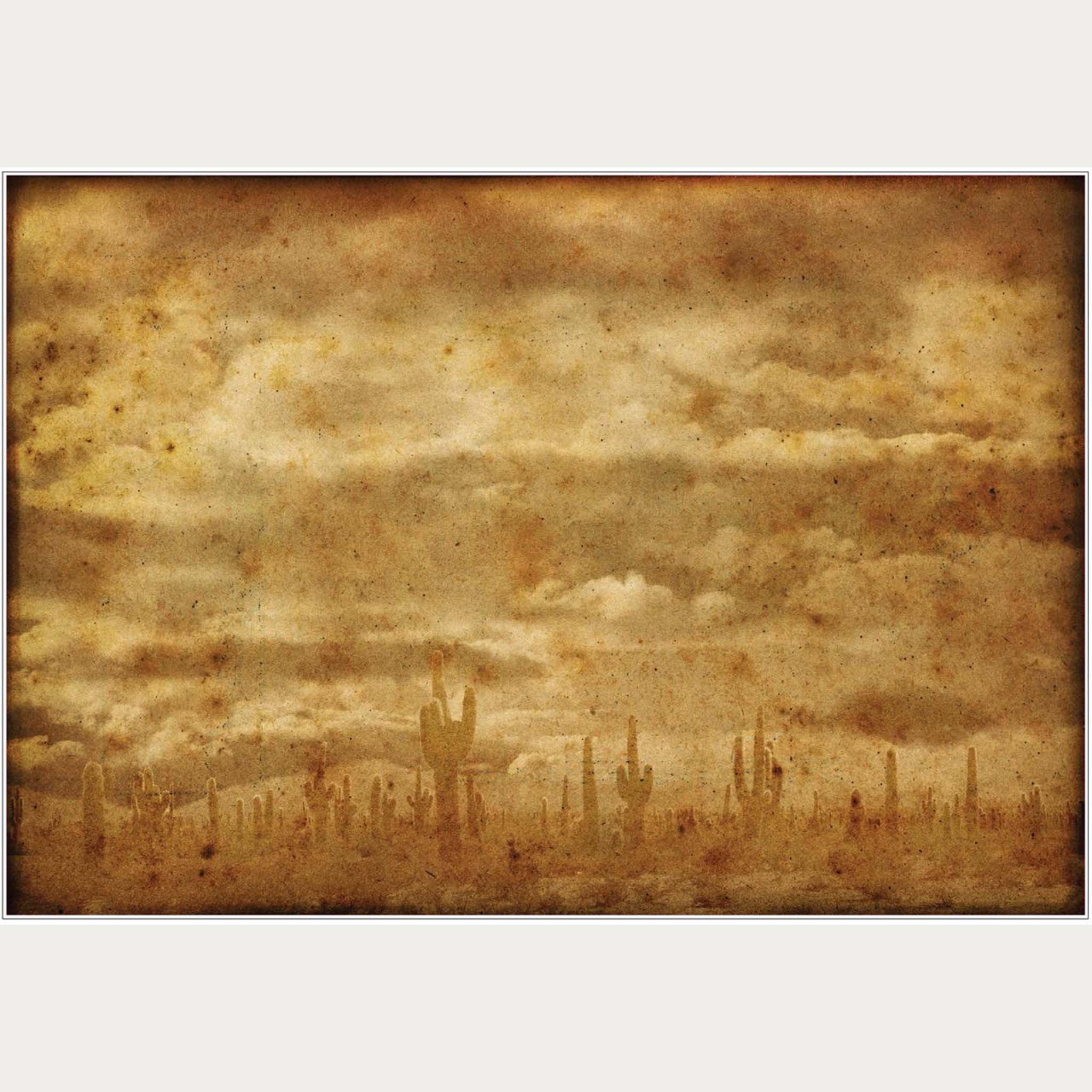 A faux burnt rub-on transfer features a Saguaro cactus filled desert. A white border frames the top and bottom of the transfer design.