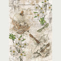 Vintage butterfly Naturalist Library decoupage rice paper design. White borders on the sides.