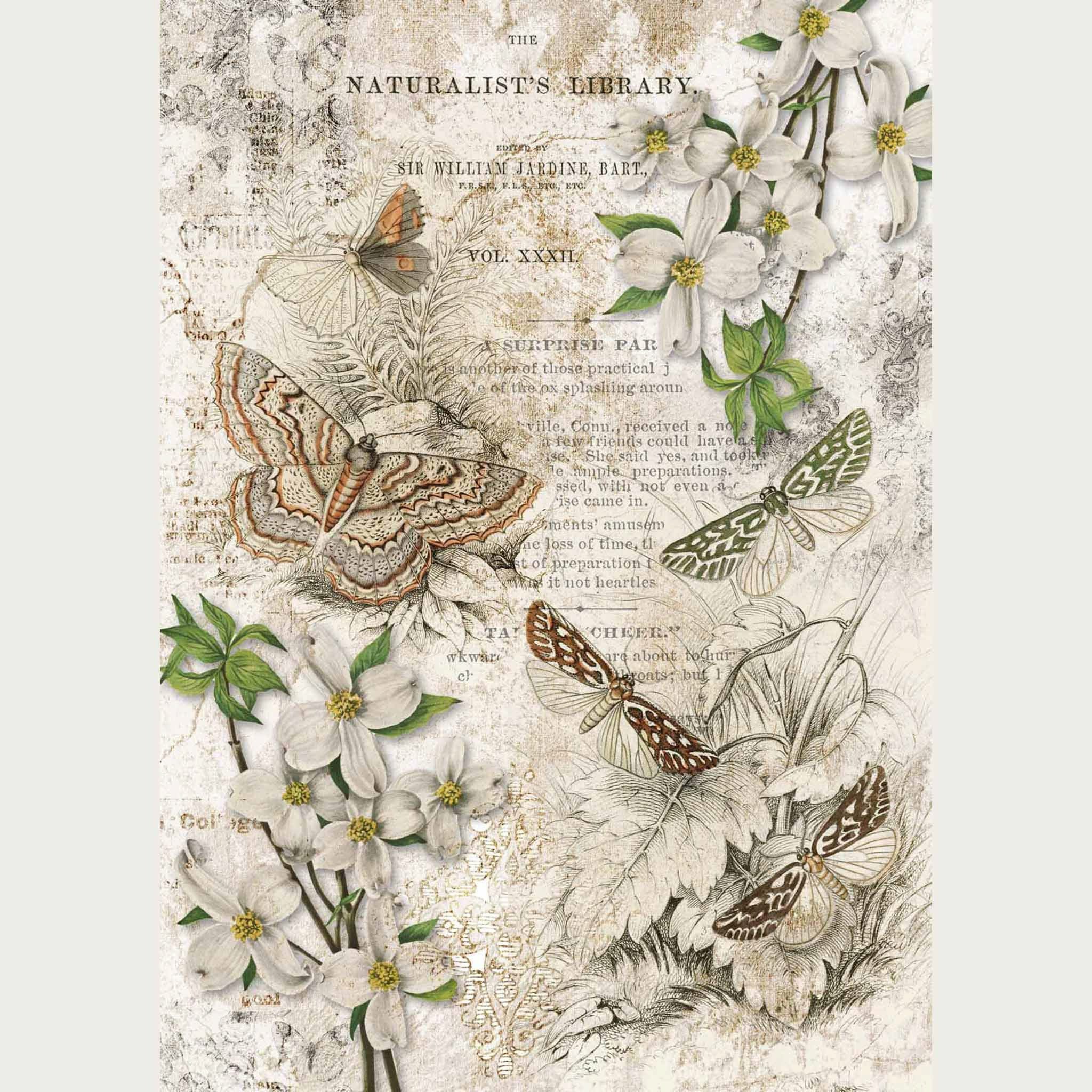 Naturalist Library - A0 Rice Decoupage Paper - Decoupage Queen | Maika ...