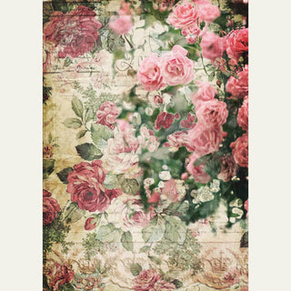 Vintage style Splash of Roses A3 Decoupage Rice Paper. White borders on the sides.