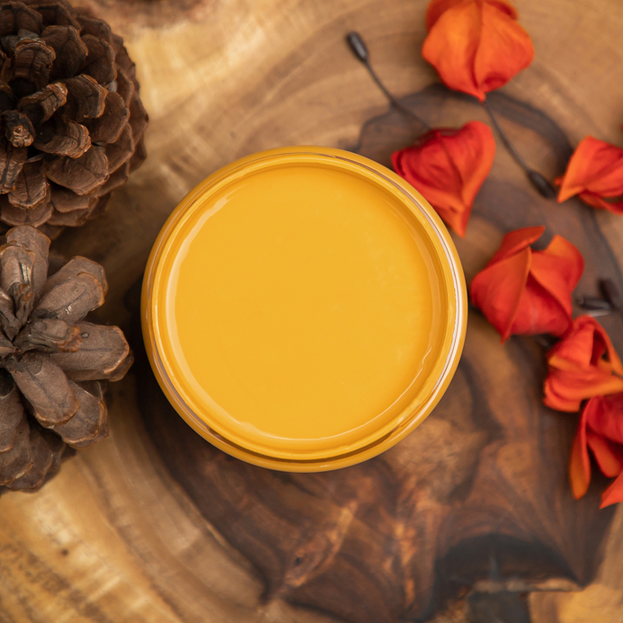 An arial view of an open container of Dixie Belle Paint Company’s Colonel Mustard Chalk Mineral Paint is surrounded by dark orange silk flowers and pine cones on a wood table.