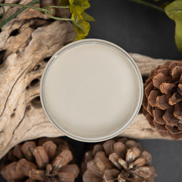 An arial view of an open container of Dixie Belle Paint Company’s Dried Sage Chalk Mineral Paint is surrounded by pine cones and drift wood.