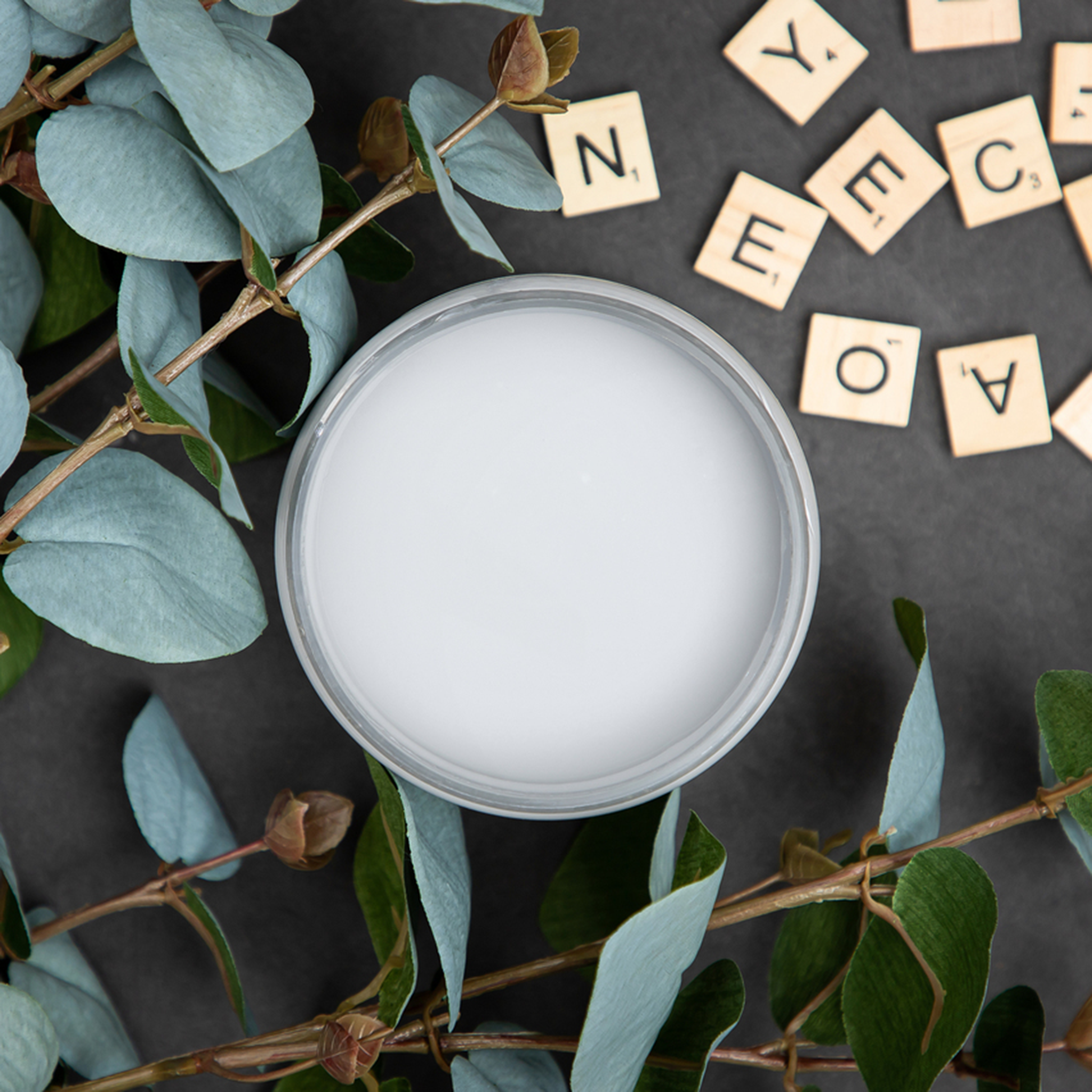 An arial view of an open container of Dixie Belle Paint Company’s Manatee Gray Chalk Mineral Paint is surrounded by silk eucalyptus leaves and Scrabble letters.