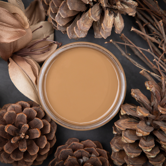 An arial view of an open container of Dixie Belle Paint Company’s Pine Cone Chalk Mineral Paint is surrounded by pine cones, branches, and a tan silk flower.