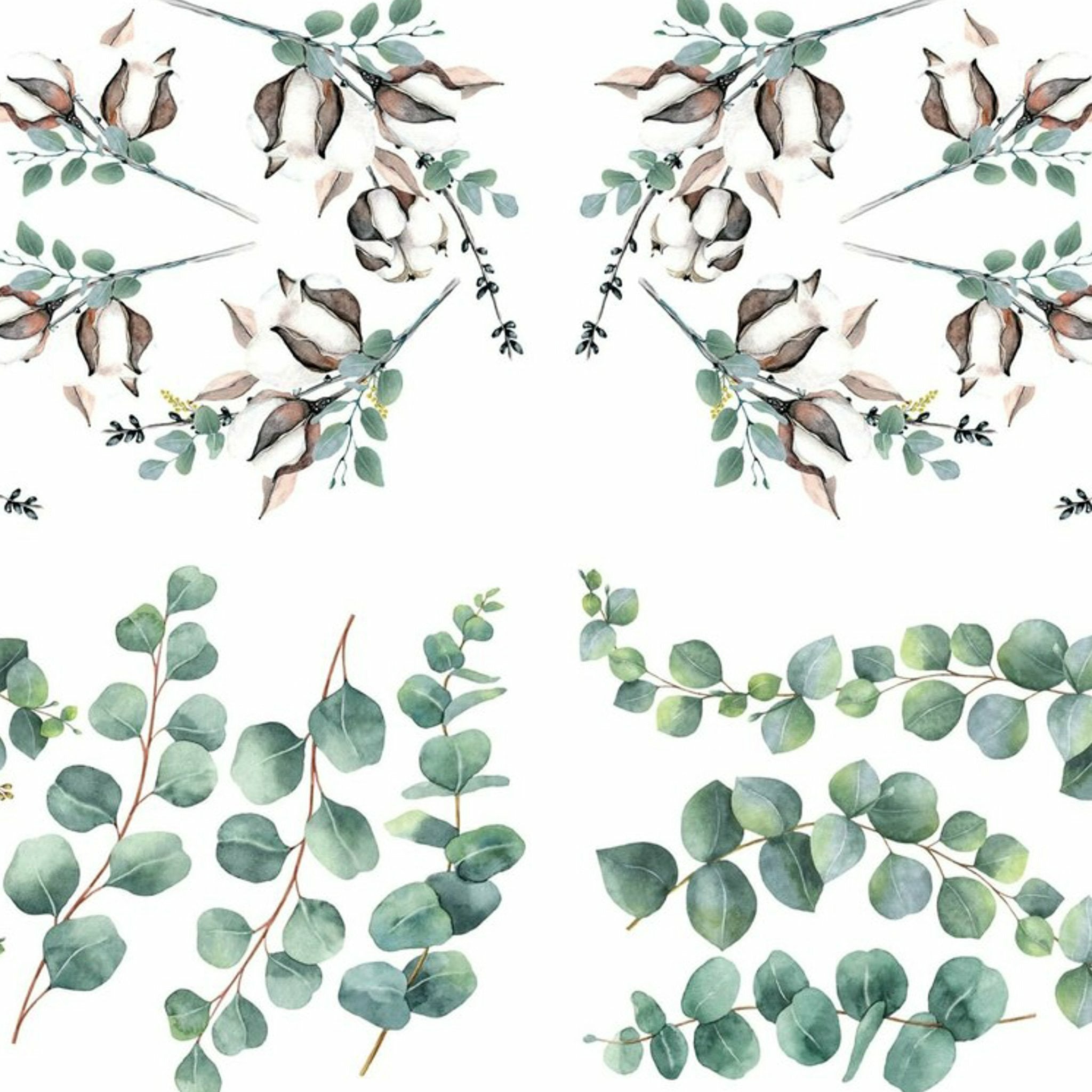 Close-up of a rub-on transfer that features eucalyptus branches and cotton plant branches on a white background.