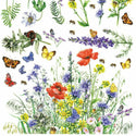 Close up of colorful wildflowers and butterflies are against a white background.