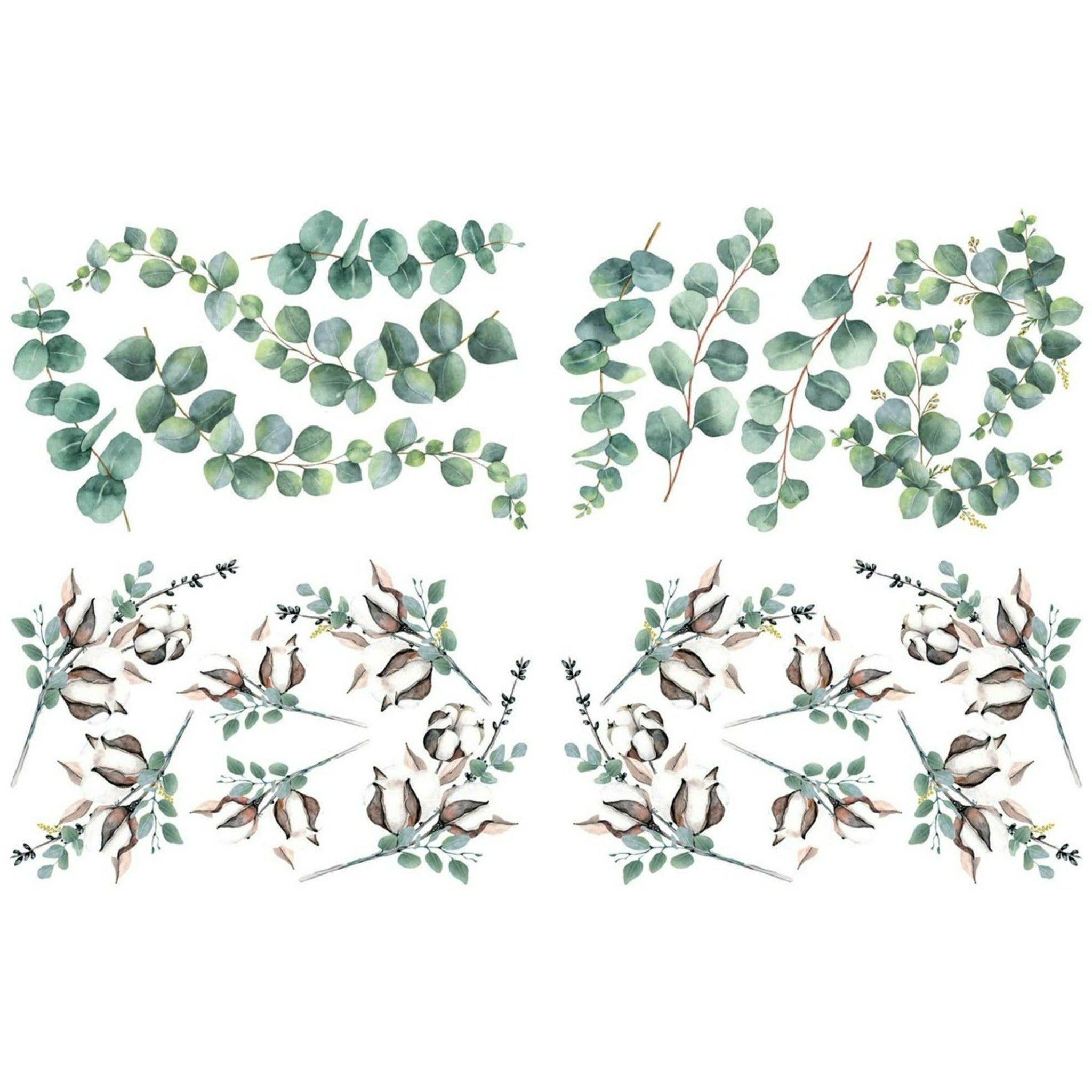 A rub-on transfer that features eucalyptus branches and cotton plant branches on a white background.