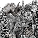 Close-up of a rub-on transfer of jungle plants and flowers in black and white.