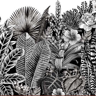 Close-up of a rub-on transfer of jungle plants and flowers in black and white.