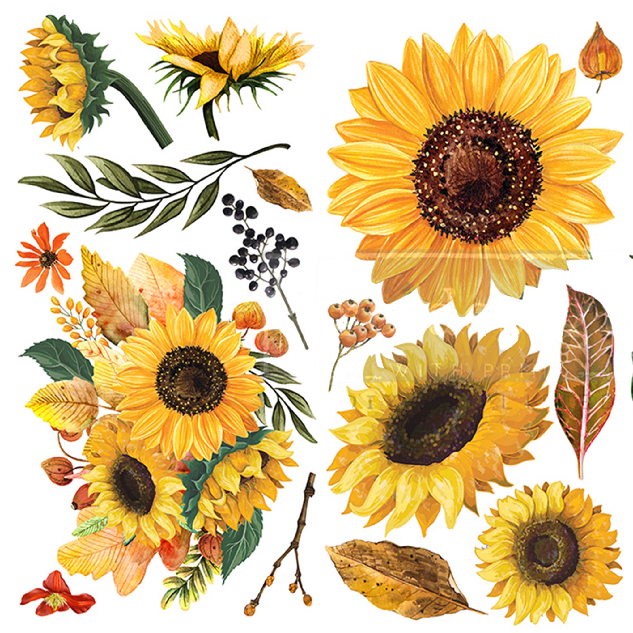 Small rub-on transfers of sunflowers, berries, leaves, and a sunflower bouquet.