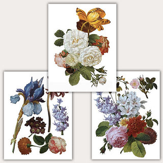 3 sheets of rub-on transfers featuring many deep colored wildflowers.