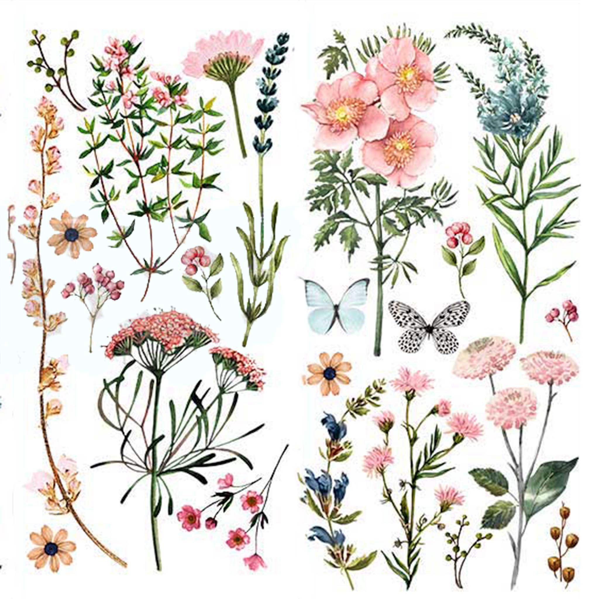 Rub-on transfer design of small wild flowers and butterflies.