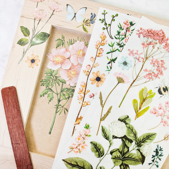 A wood picture frame project, wood craft stick, and 2 sheets of the Botanical Paradise trasnfer are against a white background.