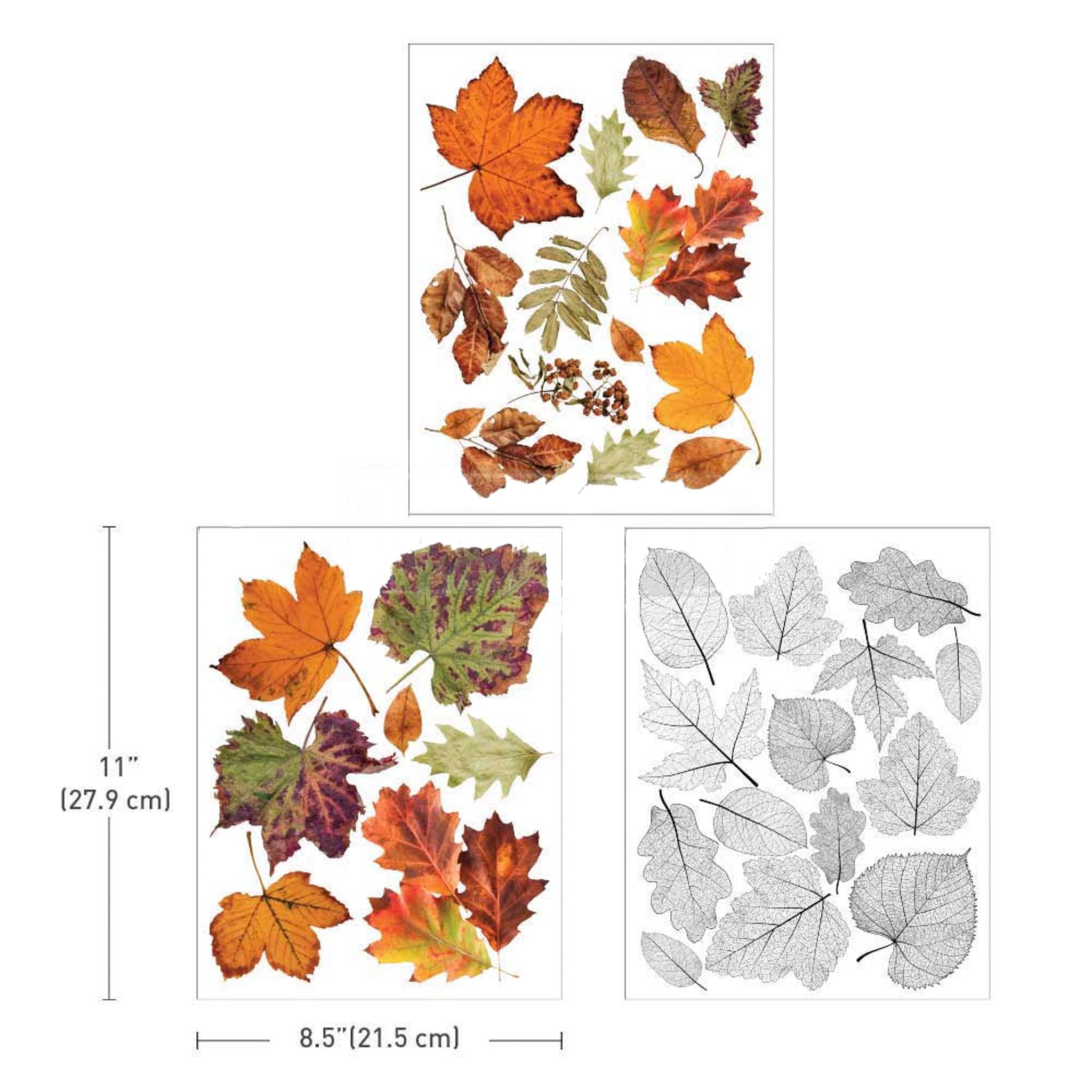 Three sheets of small rub-on transfers of fall colored leaves and translucent leaves. Measurements for 1 sheet reads: 11" [27.9 cm] by 8.5" [21.5 cm]. 