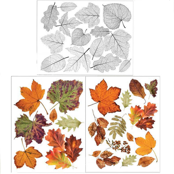 Three sheets of small rub-on transfers of fall colored leaves and translucent leaves.