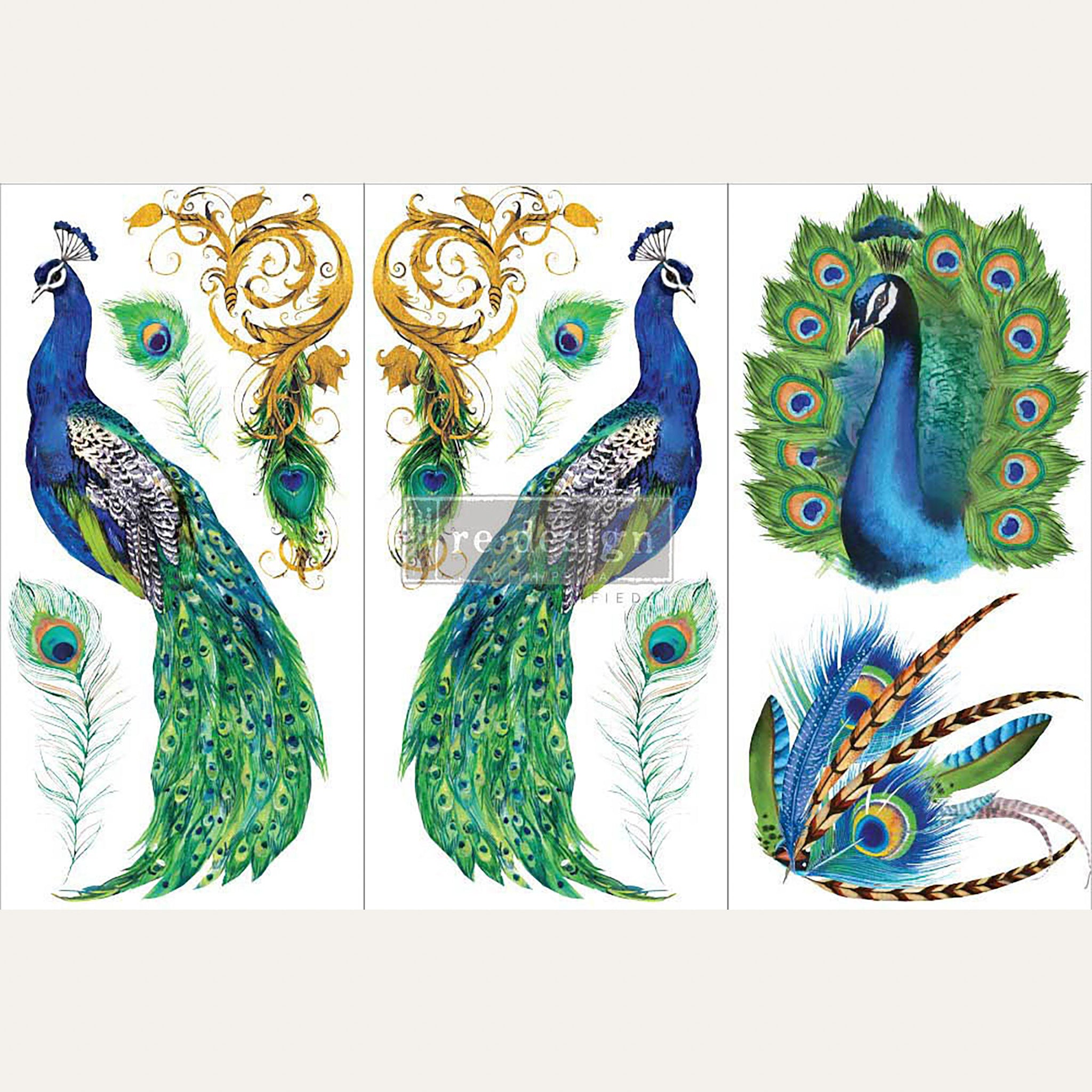 Small rub-on transfers of colorful peacocks and peacock feathers. Beige borders are on the top and bottom.