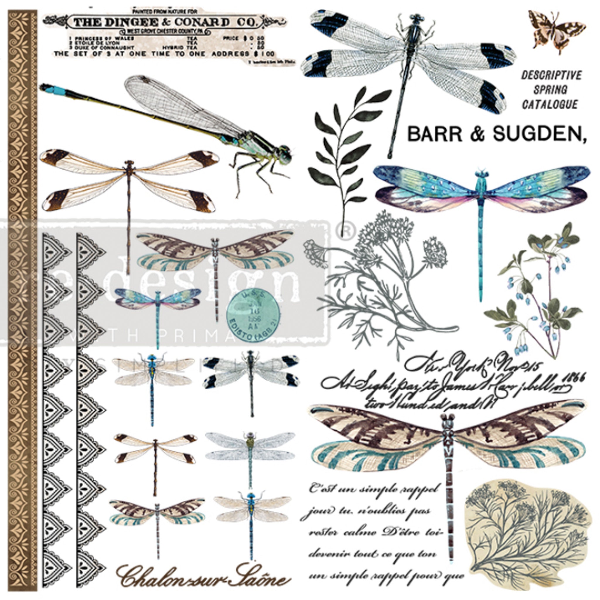 Small rub-on transfer design with lots of dragonflies, decorative borders, wildflowers, and some script writing.
