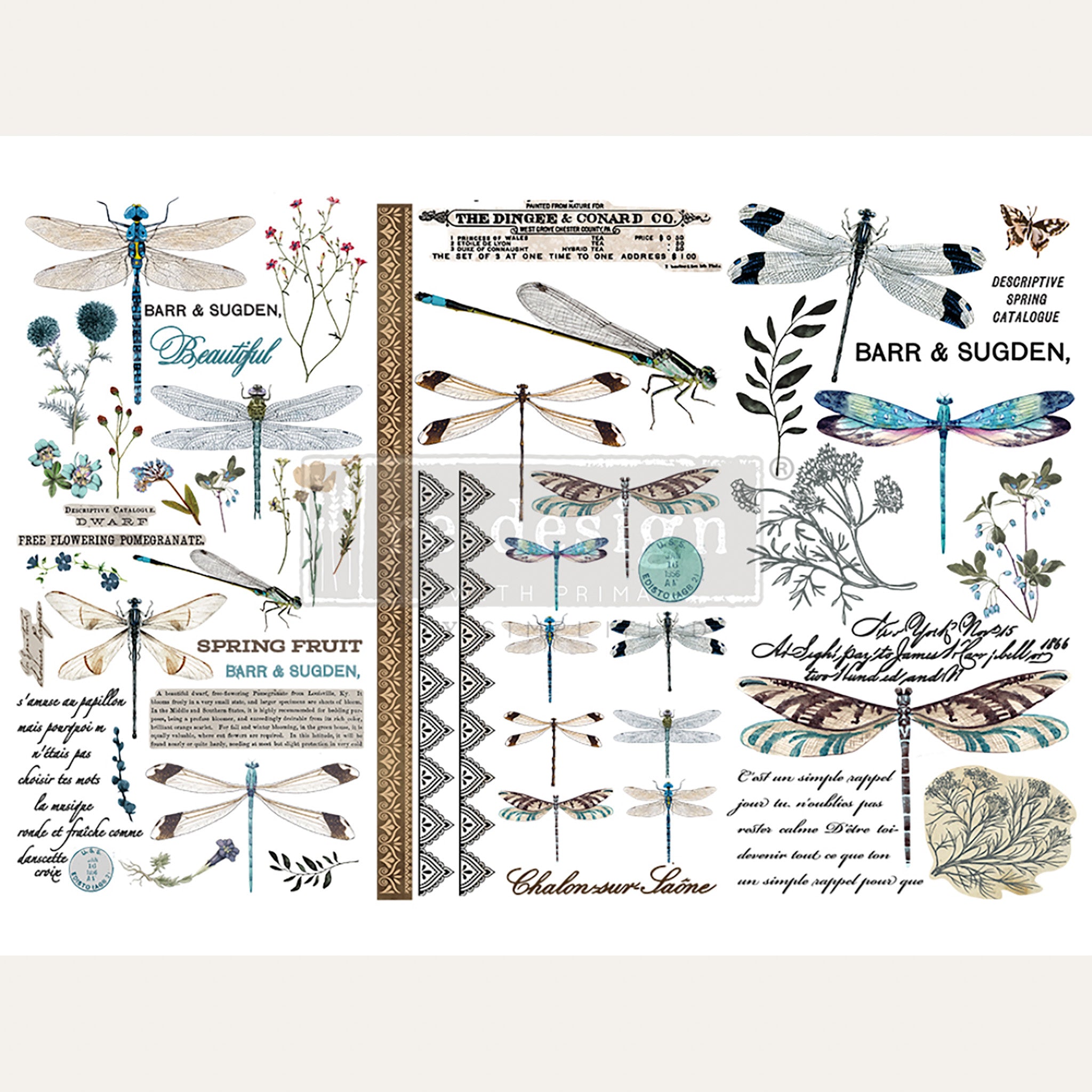 Small rub-on transfer design with lots of dragonflies, decorative borders, wildflowers, and some script writing. Light beige borders are on the top and bottom.