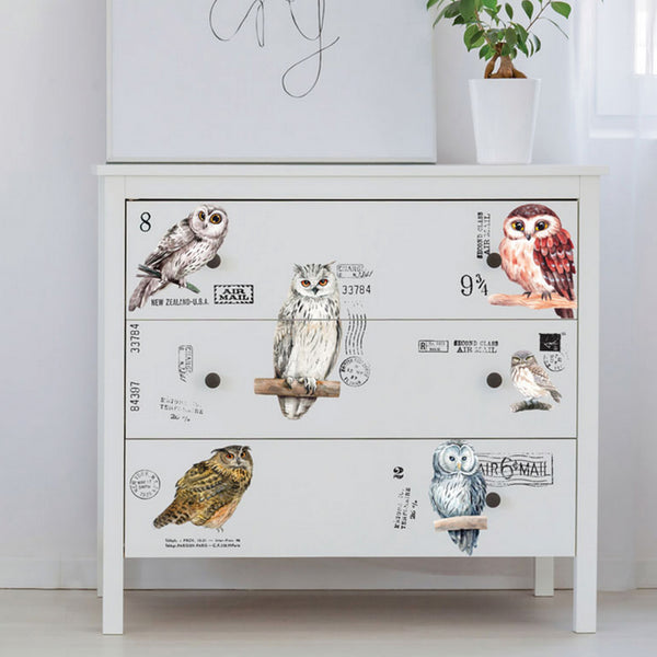 A 3-drawer dresser is painted light grey and features ReDesign with Prima's Owl small transfer on its drawers.