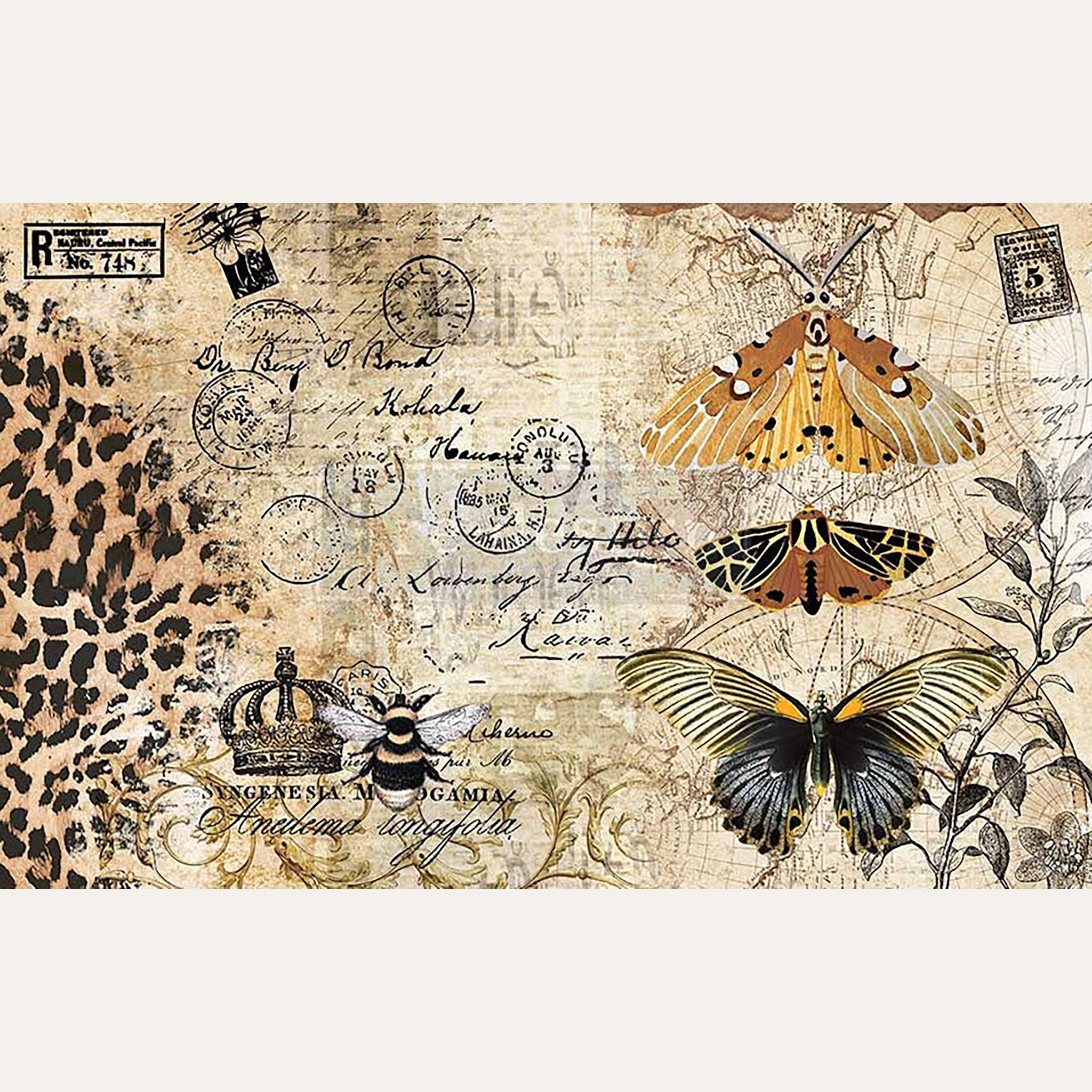 Tissue paper design of vintage postal parchment with bees, moths, and butterflies. White borders are on the top and bottom.