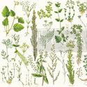 A close up crop of multiple different green plant designs. A transparent redesign logo is placed on top.