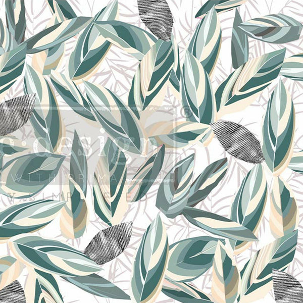 A close up crop of a group of muted green and tan leaves design. A transparent redesign logo is placed on top.