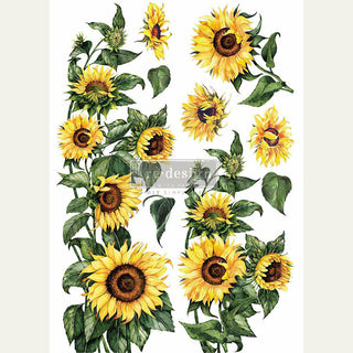 Multiple Sunflowers furniture transfer design. White borders on the sides.