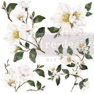 A close up crop of different white magnolia designs. A transparent redesign logo is placed on top.