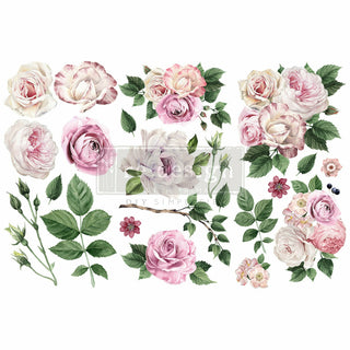 A white background with pink and white-toned roses. And green leaves. A transparent Redesign with Prima logo on top.