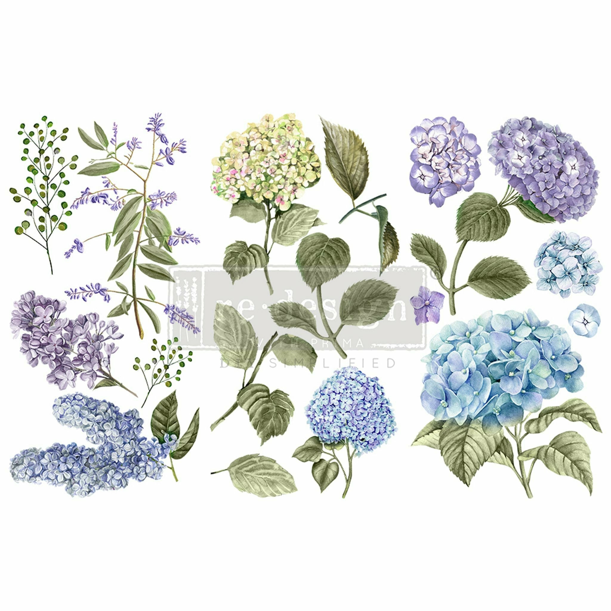 Colorful Mystic Hydrangea transfer design on a white background. A transparent Redesign logo on top.