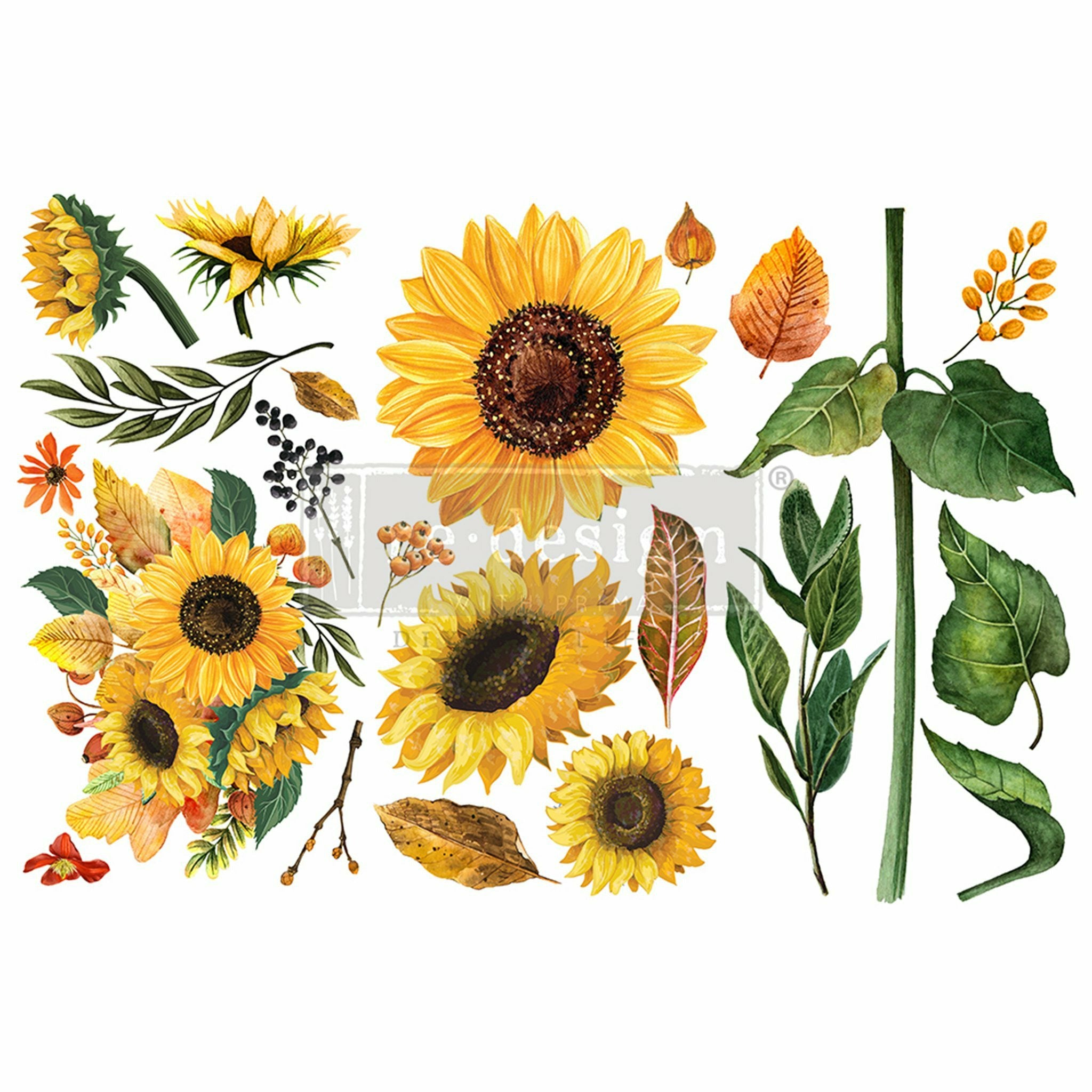 The Sunflower Afternoon transfer is displayed on a white background. In the middle is a transparent redesign with prima logo.